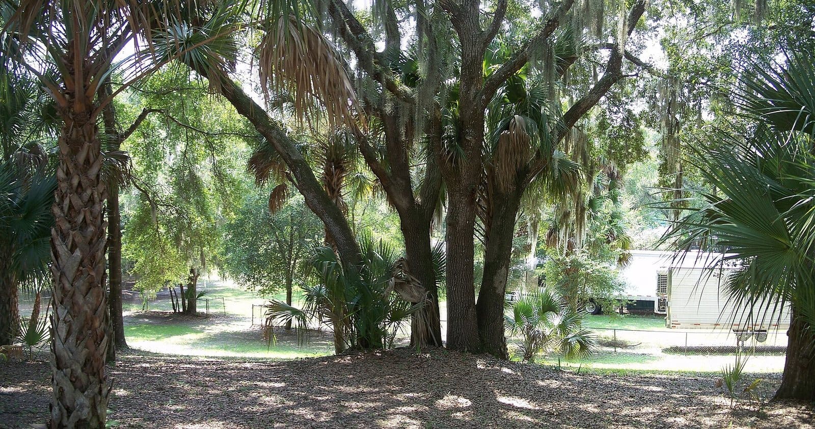 Water filtration in Welaka, FL